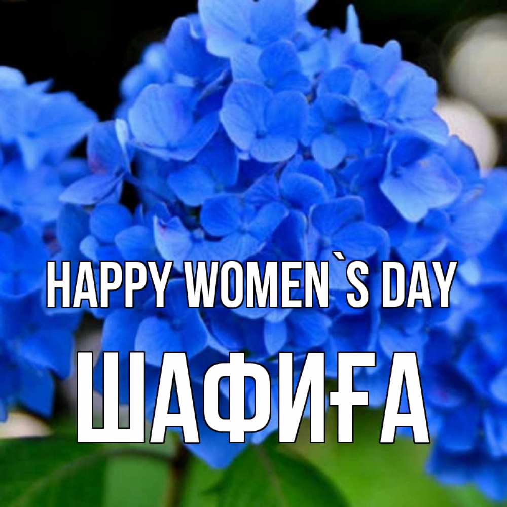 Greetings card с именем, ШАФИҒА happy women`s day синие цветы Greetings with text for free download 